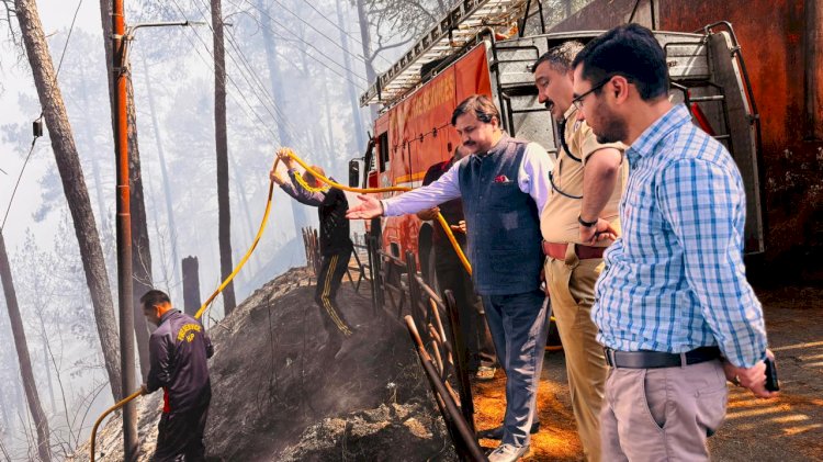 डीसी-एसपी ने टूटीकंडी बालिका आश्रम के समीप जंगल में लगी आग का मौके पर जाकर लिया जायजा