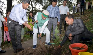 राज्यपाल ने विश्व पर्यावरण दिवस पर पौधारोपण किया