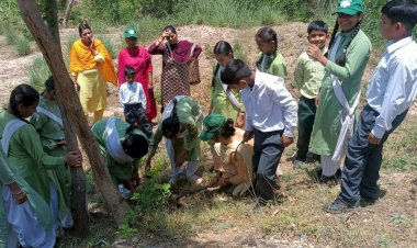 रघुनाथपुरा पाठशाला के विधार्थियों ने की गौरिला प्लांटेशन- कंचनबाला