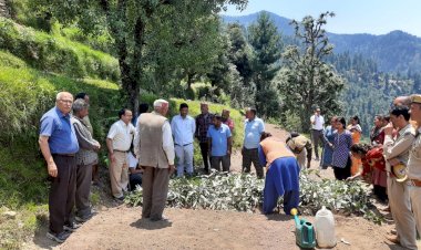 कुल्लू के कोट में चिरायता की खेती का सफल डेमोस्ट्रेशन