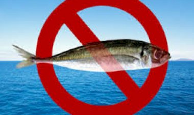 हिमाचल प्रदेश के सामान्य जल में 16 जून 2024 से 15 अगस्त 2024 तक मछली पकड़ने पर रहेगा पूर्ण प्रतिबंध