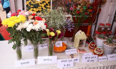 शूलिनी मेला में नौणी विश्वविद्यालय की प्रदर्शनी बनी आकर्षण का केन्द्र