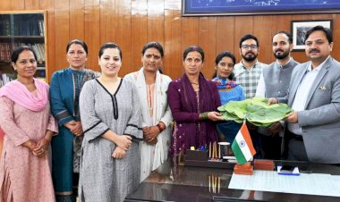 तारादेवी मंदिर में टौर के पत्तल में मिलेगा अब लंगर,  जिला प्रशासन ने लिया फैसला