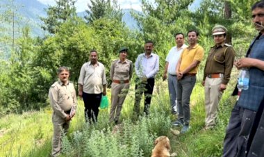 समीर रस्तोगी ने प्रोजेक्ट स्टाफ में भरा जोश