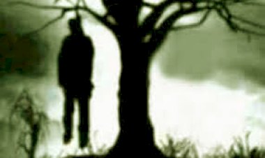 पेड़ से लटका शव मिला, पुलिस ने लिया कब्जे में