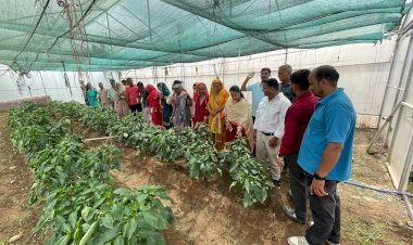 धौलाकुआं में किसानों ने वैज्ञानिकों से सीखीं बागवानी की आधुनिक तकनीकें