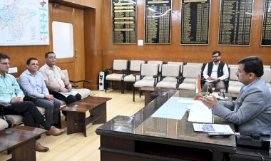 बेसहारा पशुओं को गौ सदन पहुंचाएगी समिति- उपायुक्त