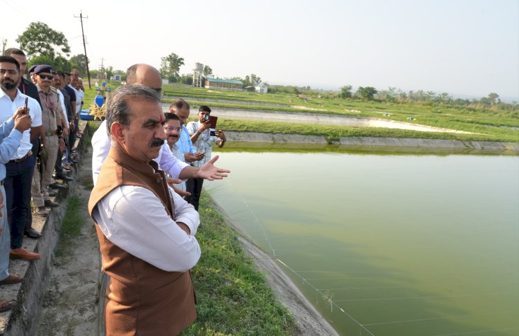 मुख्यमंत्री ने अत्याधुनिक मत्स्य पालन प्रशिक्षण केन्द्र दियोली और भंजाल में 5 मेगावाट सौर ऊर्जा परियोजना की आधारशिला रखी