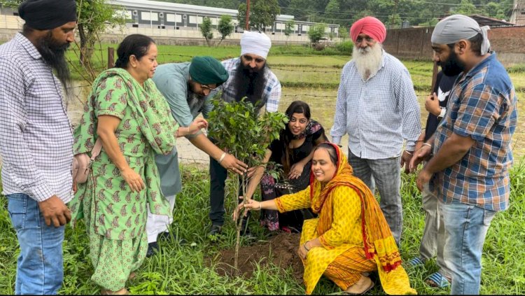 दशमेश सेवा सोसायटी ने किया पौधारोपण, 200 पौधों का रोपण कर दिया पर्यावरण संरक्षण का संदेश