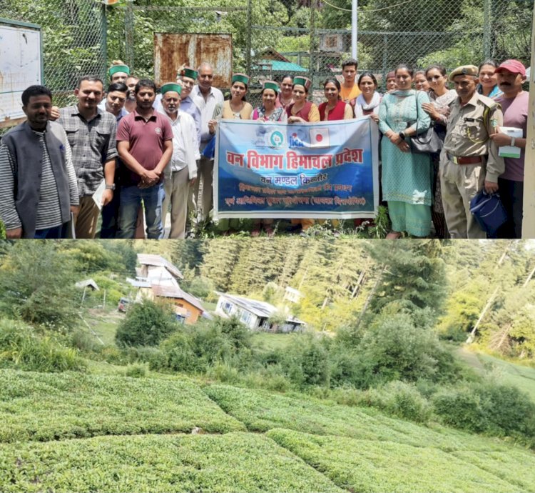 किन्नौर में कडू की खेती पर वानिकी परियोजना की कसरत, निचार वन परिक्षेत्र में जल्द बनेगा 50 किसानों का एक ग्रुप