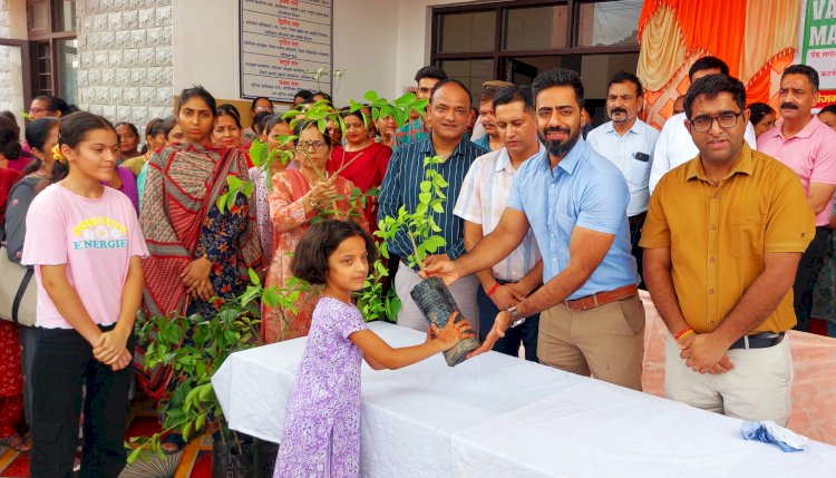 ऊना जिला प्रशासन की पर्यावरण संरक्षण को प्रेरणात्मक पहल, लोगों को निशुल्क बांटे 1100 पौधे