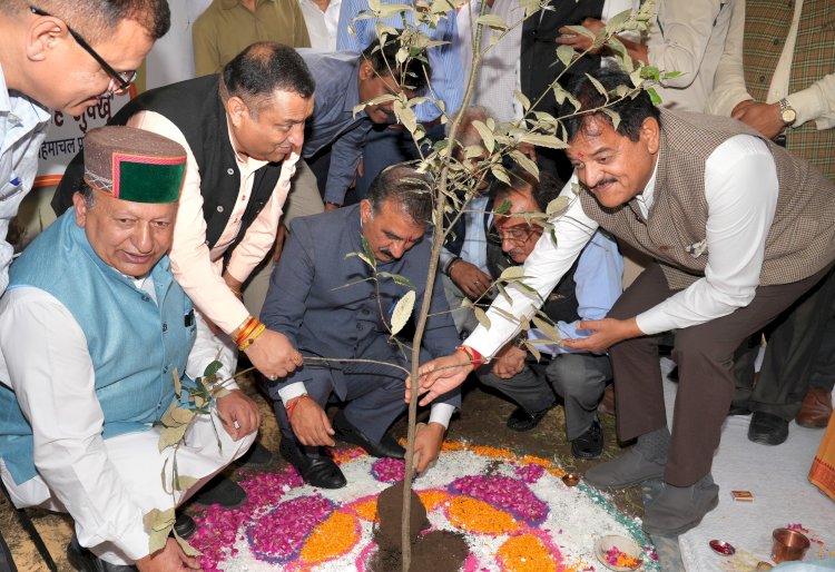 मुख्यमंत्री ने 75वें राज्य स्तरीय वन महोत्सव का शुभारम्भ किया