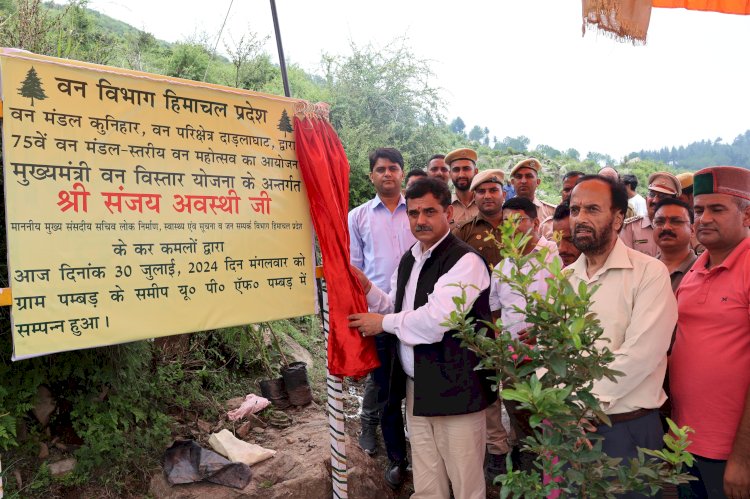 वृक्षारोपण वर्तमान का भविष्य के लिए एक बेहतरीन  उपहार - संजय अवस्थी