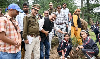 पर्यावरण को साफ और सुरक्षित बनाये रखने के लिए करें पौधारोपण - रोहित ठाकुर