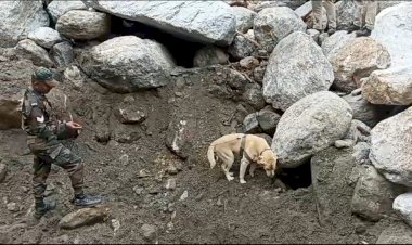 सर्च ऑपरेशन में लाइव डिटेक्टर डिवाइस का इस्तेमाल,  स्निफर डाॅग को बनाया सर्च ऑपरेशन का हिस्सा