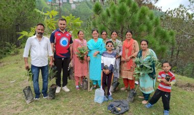 युवक मंडल मैहली के अथक प्रयासों से मैहली के जागरूक बाशिंदों ने उठाया पर्यावरण को बचाने का बीड़ा