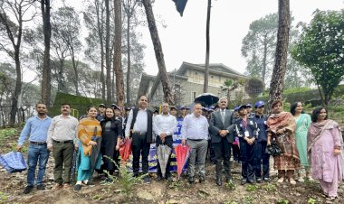 जिला एवं सत्र न्यायाधीश ने पौधरोपण कर दिया पर्यावरण संरक्षण का संदेश