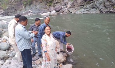 प्रदेश में वर्ष 2022-23 में 21 हजार मीट्रिक टन हुआ मछली उत्पादन