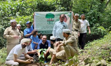 संत निरंकारी मिशन द्वारा मेगा वृक्षारोपण परियोजना के तहत किया गया 5 दर्जन पौधों का रोपण
