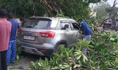 चलती कार पर पेड़ गिरा,हादसा टला कार दो लोग बाल बाल बचे..