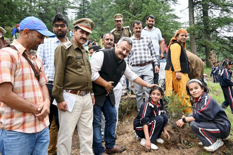 पर्यावरण को साफ और सुरक्षित बनाये रखने के लिए करें पौधारोपण - रोहित ठाकुर