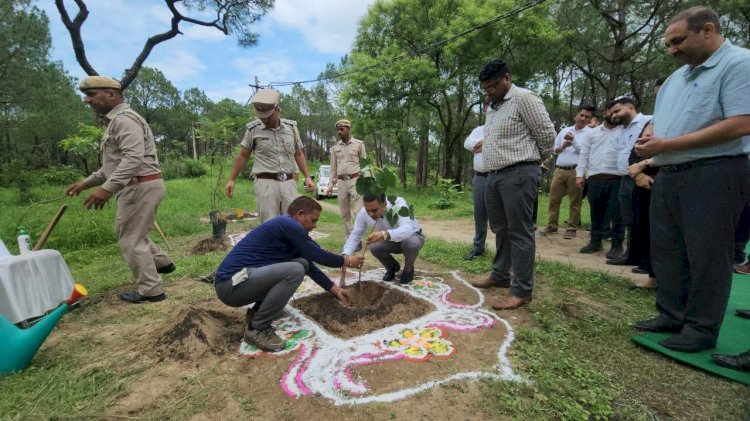 जिला एवं सत्र न्यायधीश और अन्य अधिकारियों ने किया पौधारोपण