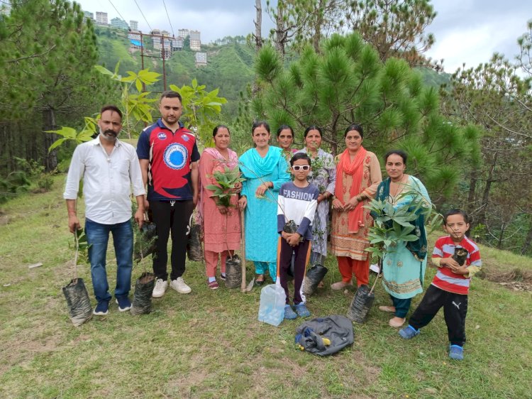 युवक मंडल मैहली के अथक प्रयासों से मैहली के जागरूक बाशिंदों ने उठाया पर्यावरण को बचाने का बीड़ा