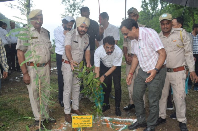 बिलासपुर में वन महोत्सव कार्यक्रम के अंतर्गत न्यायिक पदाधिकारियों ने किया पौधारोपण