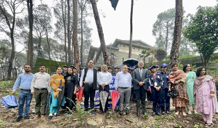 जिला एवं सत्र न्यायाधीश ने पौधरोपण कर दिया पर्यावरण संरक्षण का संदेश