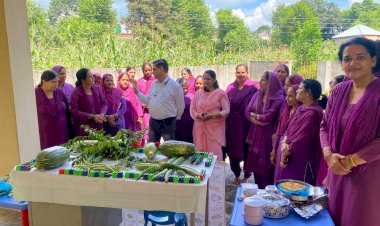 ‘स्वस्थ जीवन के लिए बहुत जरूरी है पोषण शिक्षा’, बड़सर में पोषण जागरुकता के लिए लगाई शिक्षा चौपाल