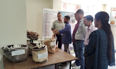 मशरूम की खेती अपनाकर किसान अपनी आय में करें बढ़ोतरी: कमलशील नेगी