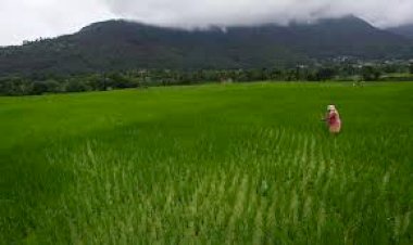 किसान उत्पादक संगठन पंजीकरण व बीज, खाद, कीटनाशक के लाइसेंस बनवाएं-उप निदेशक