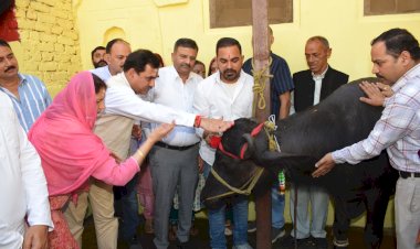 मेले एवं उत्सव हमारी समृद्ध संस्कृति व परम्पराओं के परिचायक - संजय अवस्थी