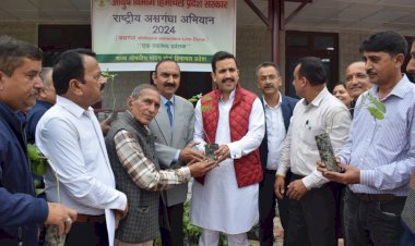 प्रदेश के हर क्षेत्र में रोपित किए जायेंगे अश्वगंधा, हरड़, बेहड़ा, आंवला सहित अन्य औषधीय पौधे – विक्रमादित्य सिंह