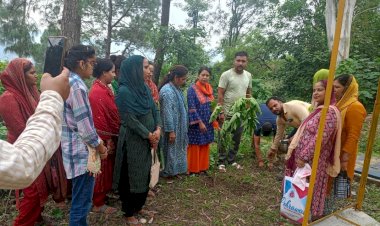नगर परिषद हमीरपुर और कई पंचायतों ने चलाया सफाई अभियान