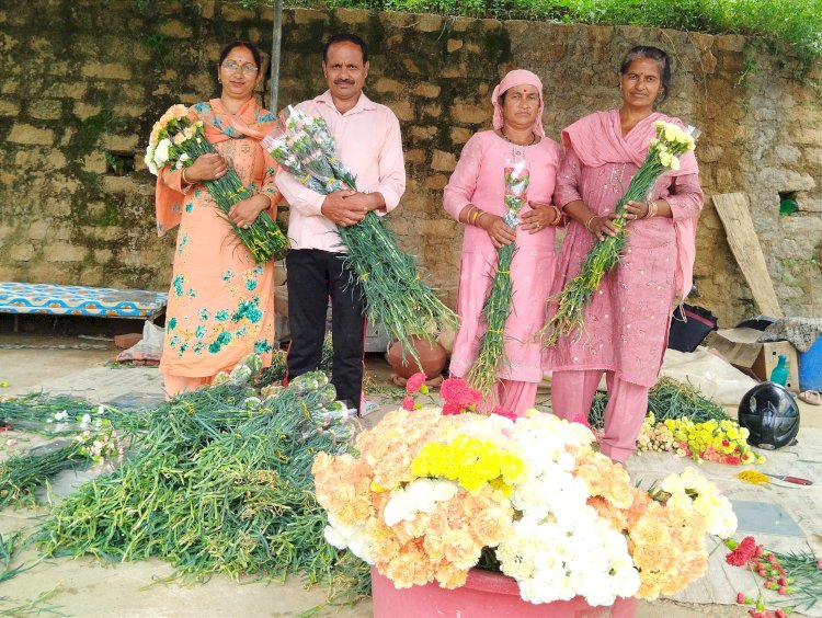 कलठा गांव के रविन्द्र ने फूलों की खेती कर चुनी स्वरोजगार व आत्मनिर्भरता की राह