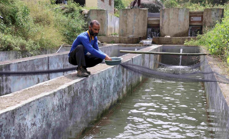 मंडी जिला में दहड़ के नेत्र सिंह ने... ट्राउट मछली पालन कर लिख डाली सफलता की कहानी