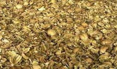 3.004 किलोग्राम चुरा पोस्त,10 लीटर नाजायज शराब समेत 13020 की करंसी पकड़ी, दो मामलों में धरे दो आरोपी