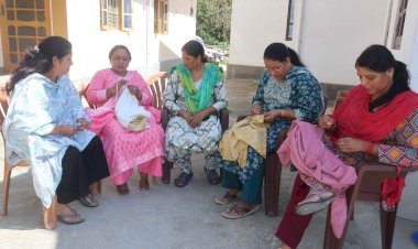 स्वयं सहायता समूहों से जुड़कर उद्यमी बन रहीं बल्ह की महिलाएं
