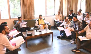 आईआईटी मंडी की टीम करेगी सराहन मंदिर का अध्ययन - विक्रमादित्य सिंह