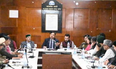 उपायुक्त की अध्यक्षता में अंतरराष्ट्रीय लवी मेला समिति की बैठक सम्पन्न