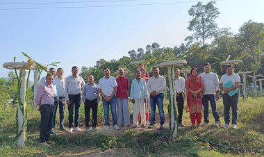 जल शक्ति मंत्रालय की टीम ने पीपली में ड्रैगन फल के बगीचे का किया दौरा