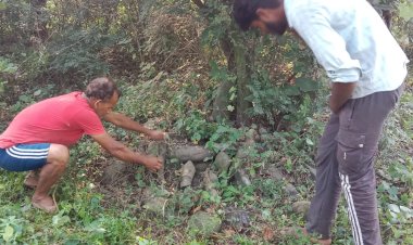 देवनी पंचायत के ढेला गांव में माता मांत्रा देवी की अति प्राचीन पत्थर की प्रतिमाएं मिली