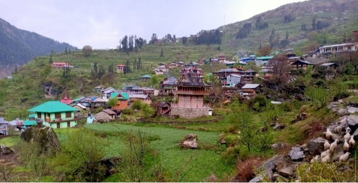 तीर्थन घाटी की ग्राम पंचायत मशियार में सैकडों लोग बिजली की आंख मिचौली से परेशान।