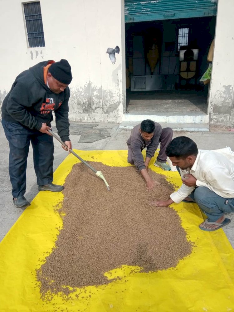 हिमाचल में तैयार होगा मछलियों का पौष्टिक आहार सिफाब्रूड