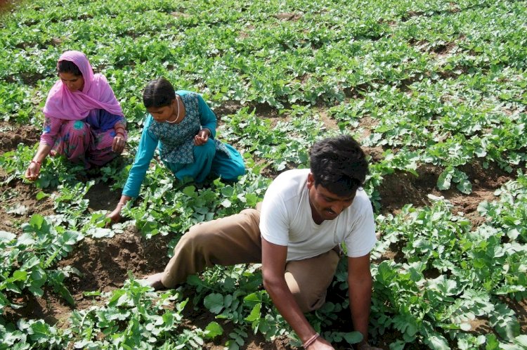 प्रदेश सरकार की किसान हितैषी योजनाओं से किसानों के जीवन में आ रही सम्पन्नता