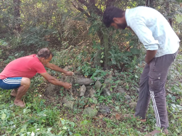 देवनी पंचायत के ढेला गांव में माता मांत्रा देवी की अति प्राचीन पत्थर की प्रतिमाएं मिली