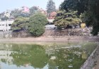 पक्का टैंक क्षेत्र मे  फैली गंदगी ,नप प्रशासन बेबस. कचरा फैकनें वालों का बोलबाला.भाजपा कांग्रेस के पार्षदों की आपसी रस्साकशी से सिस्टम ठप्प