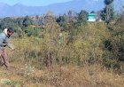 पहाड़ों में फूलों की खेती बदल रही किसानों की जिंदगी