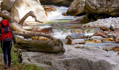 विश्व धरोहर ग्रेट हिमालयन नेशनल पार्क में की जाएगी दुर्लभ वन्य जीवों की गिनती, टीमें रवाना